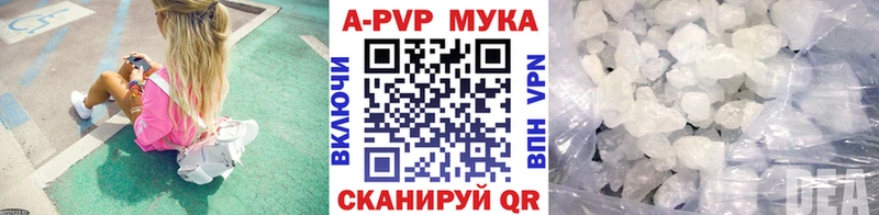 Alfa_PVP СК  Вологда 