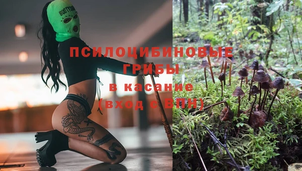 гидра Абинск