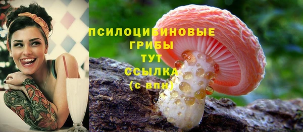 ешки Абаза