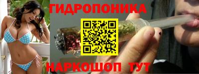 эйфоретик Абакан