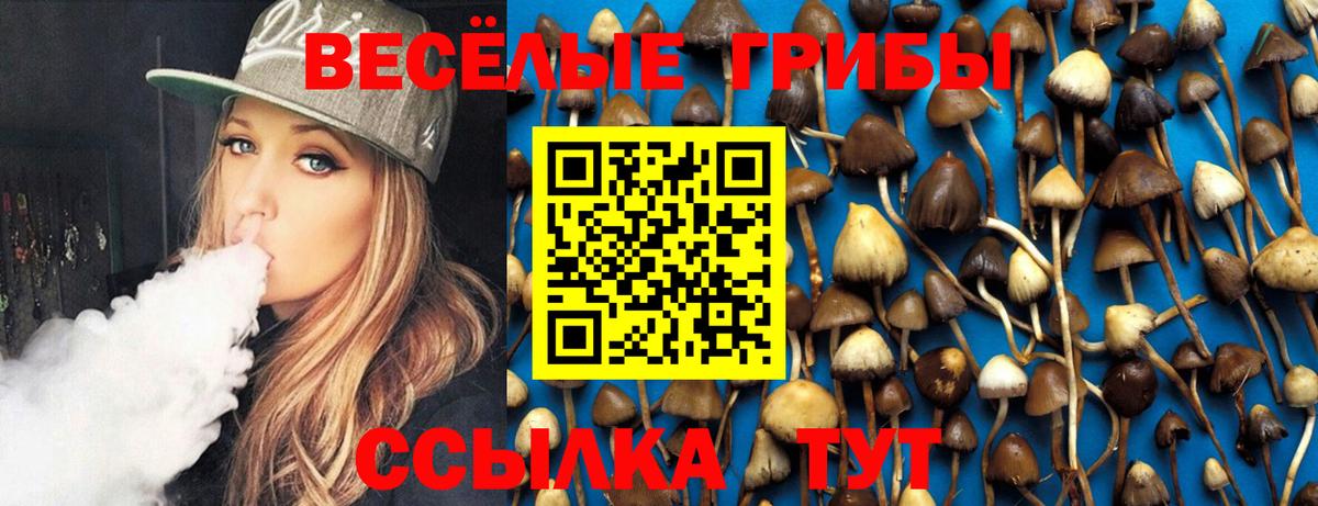 Галлюциногенные грибы GOLDEN TEACHER Вологда