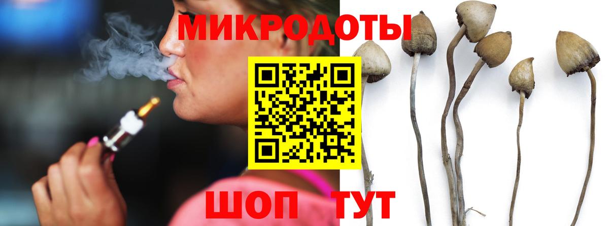 Псилоцибиновые грибы прущие грибы Вологда